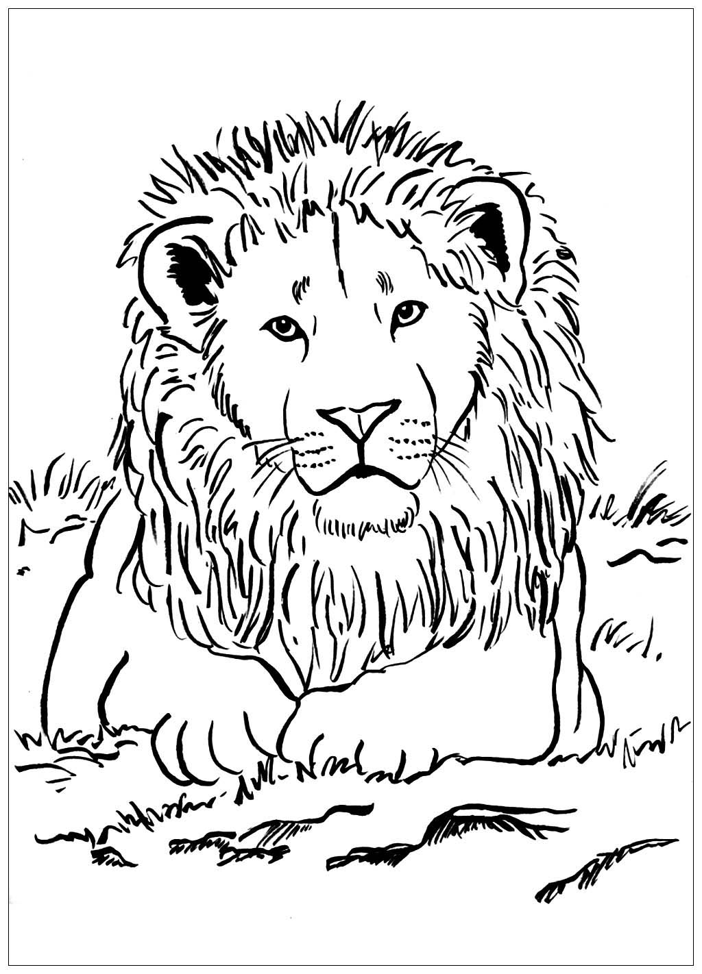 Color this majestic lion in the savannah