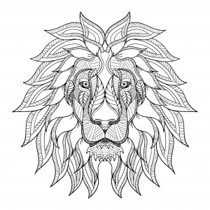 Coloring lion head with big mane