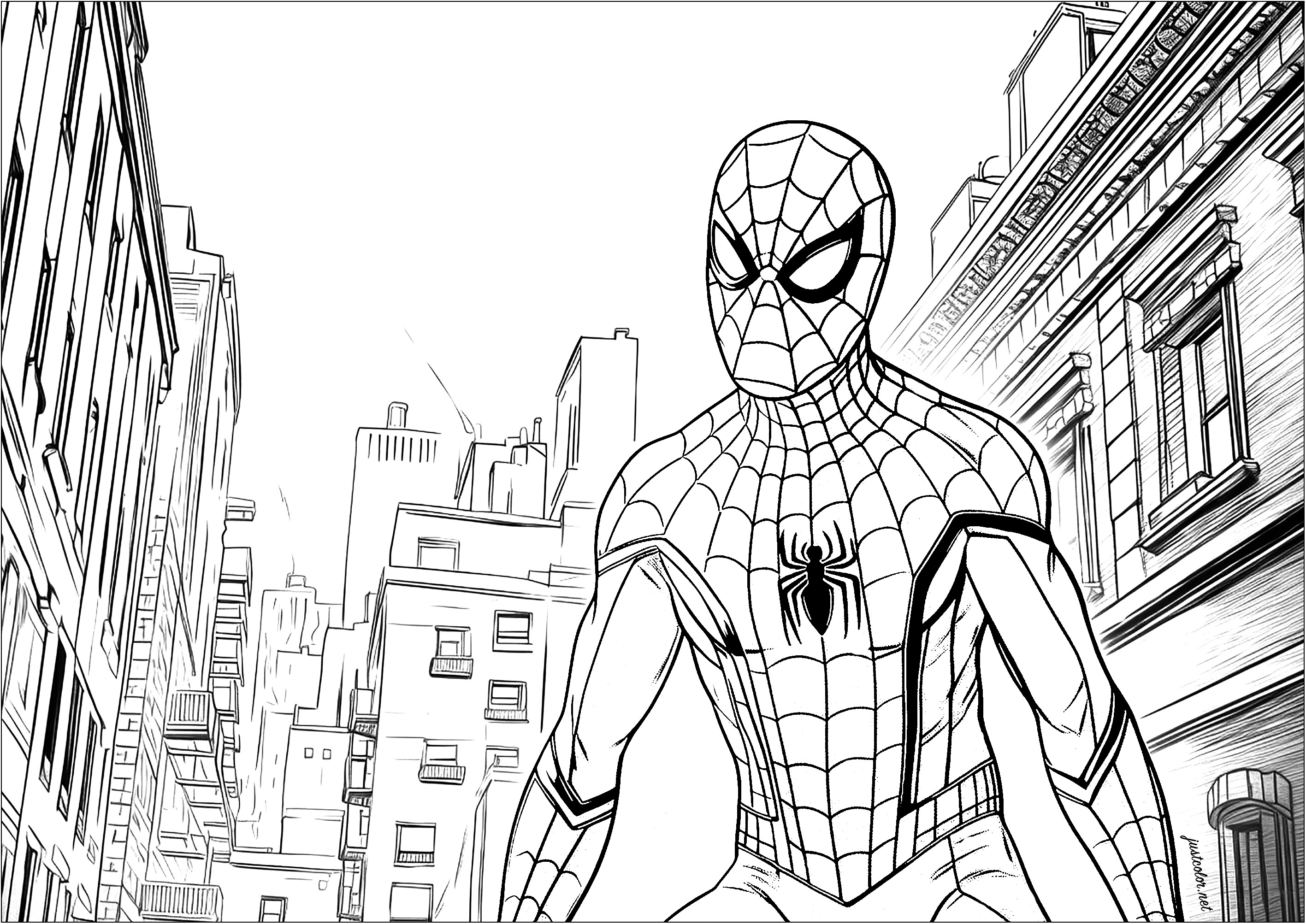 Spiderman in New York - Books Adult Coloring Pages - Page page/6/