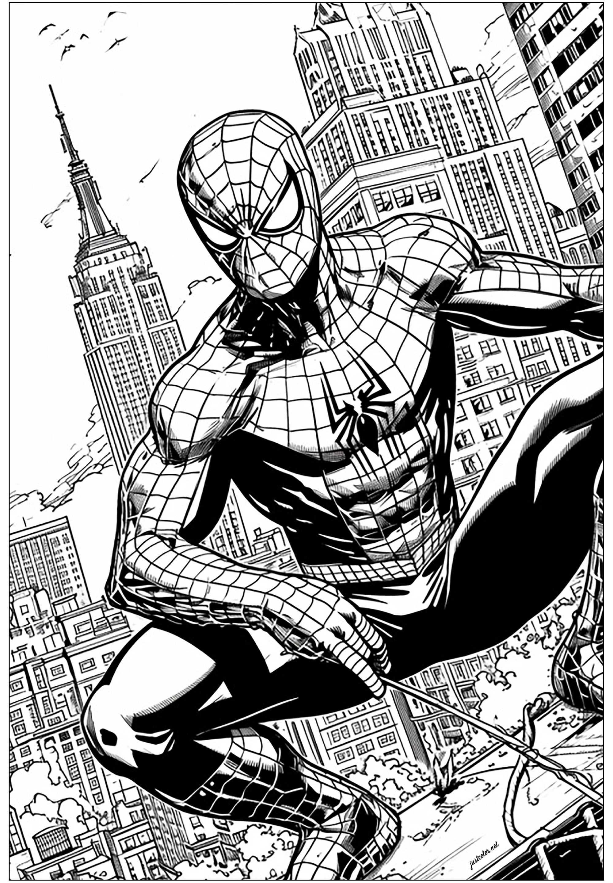 Spider-man with the Empire State Building in the background - Books ...