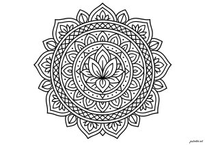 Floral symphony in circular motifs