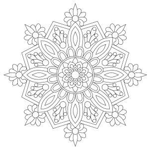 Pretty mandala, half abstract, half vegetal