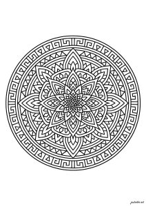 Floral symmetry within a circle