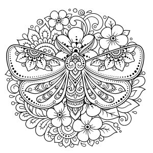 Flower mandala with moth