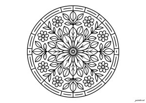 Symmetrical floral mandala