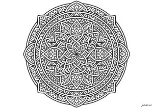Floral symmetry and fascinating arabesques