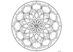 Pretty Mandala with large petals
