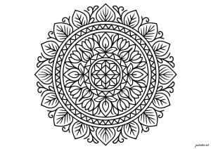 Geometric and Natural Mandala