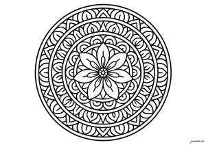 Enigmatic Flower