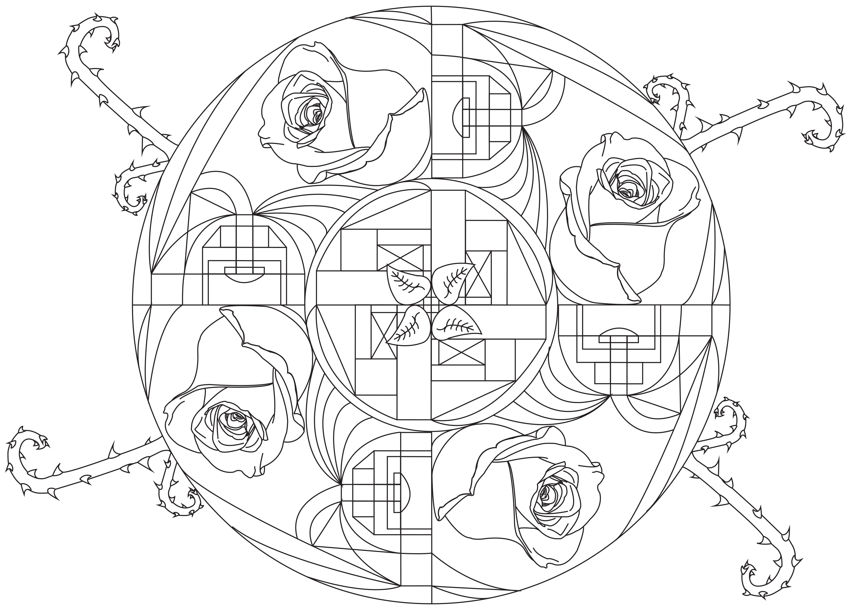 A Mandala and its amazing roses, Artist : Allan