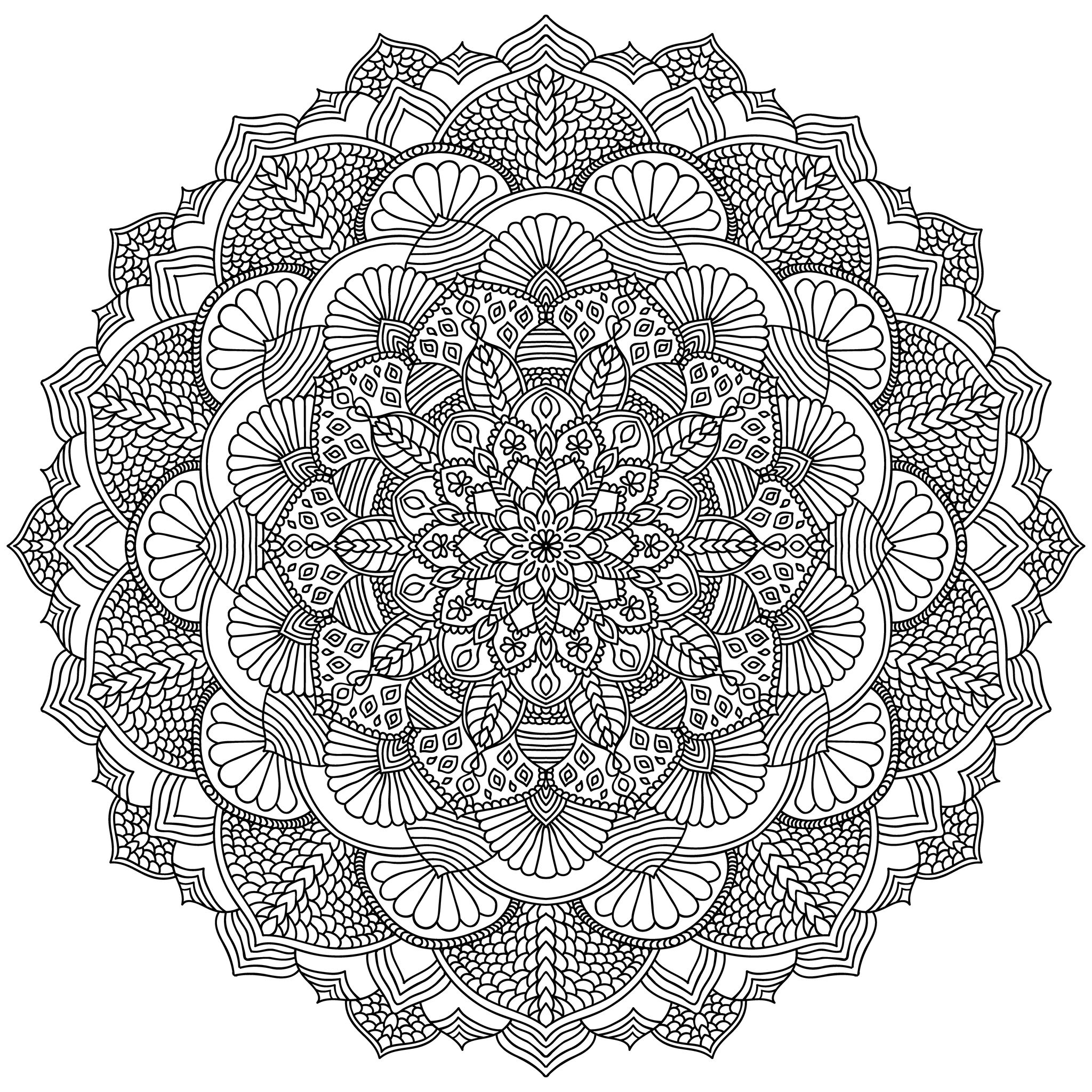 Intricate Black Mandala for Coloring. Line mandala isolated on white background, Source : 123rf   Artist : amovitania