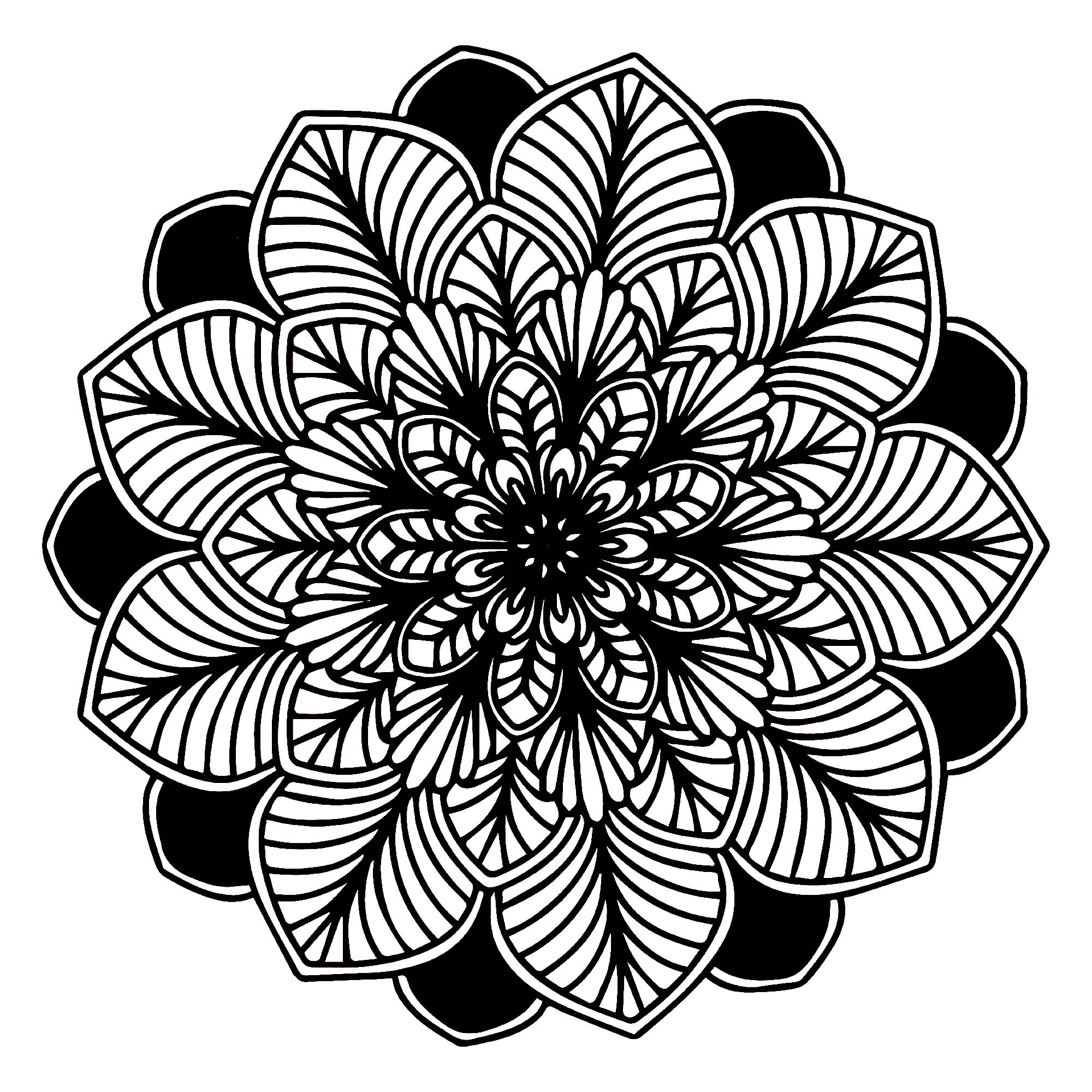 Black White Mandala Malas Adult Coloring Pages