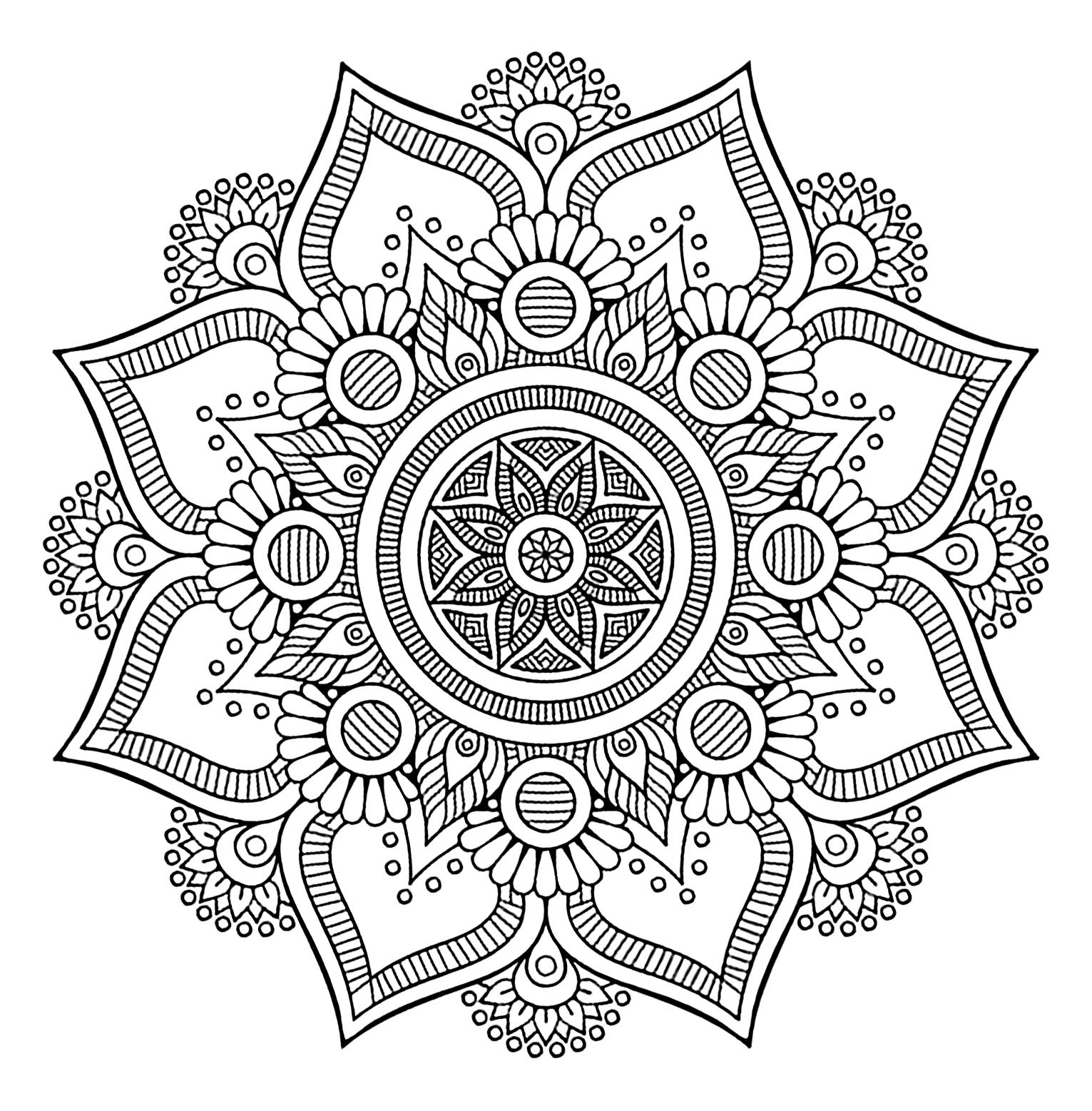 Cool Mandala with 8 big petals and vegetal patterns