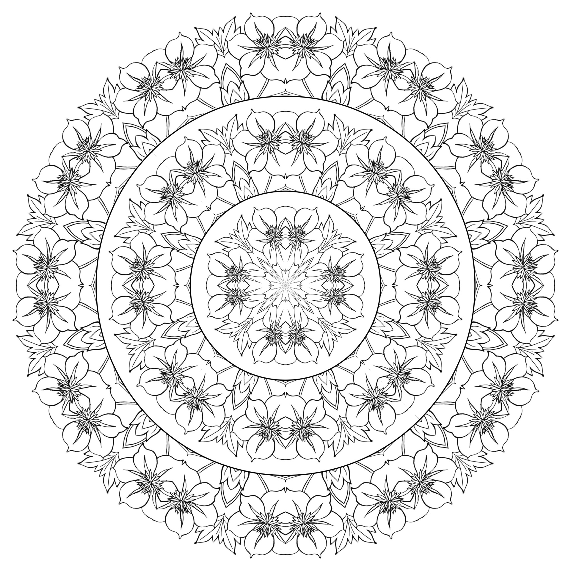 A mandala of identical flowers and leaves. All the flowers and leaves on this mandala are identical, but can be colored individually. This flowery mandala offers a multitude of possibilities to give free rein to your creativity and create a unique coloring scheme that reflects your personality.