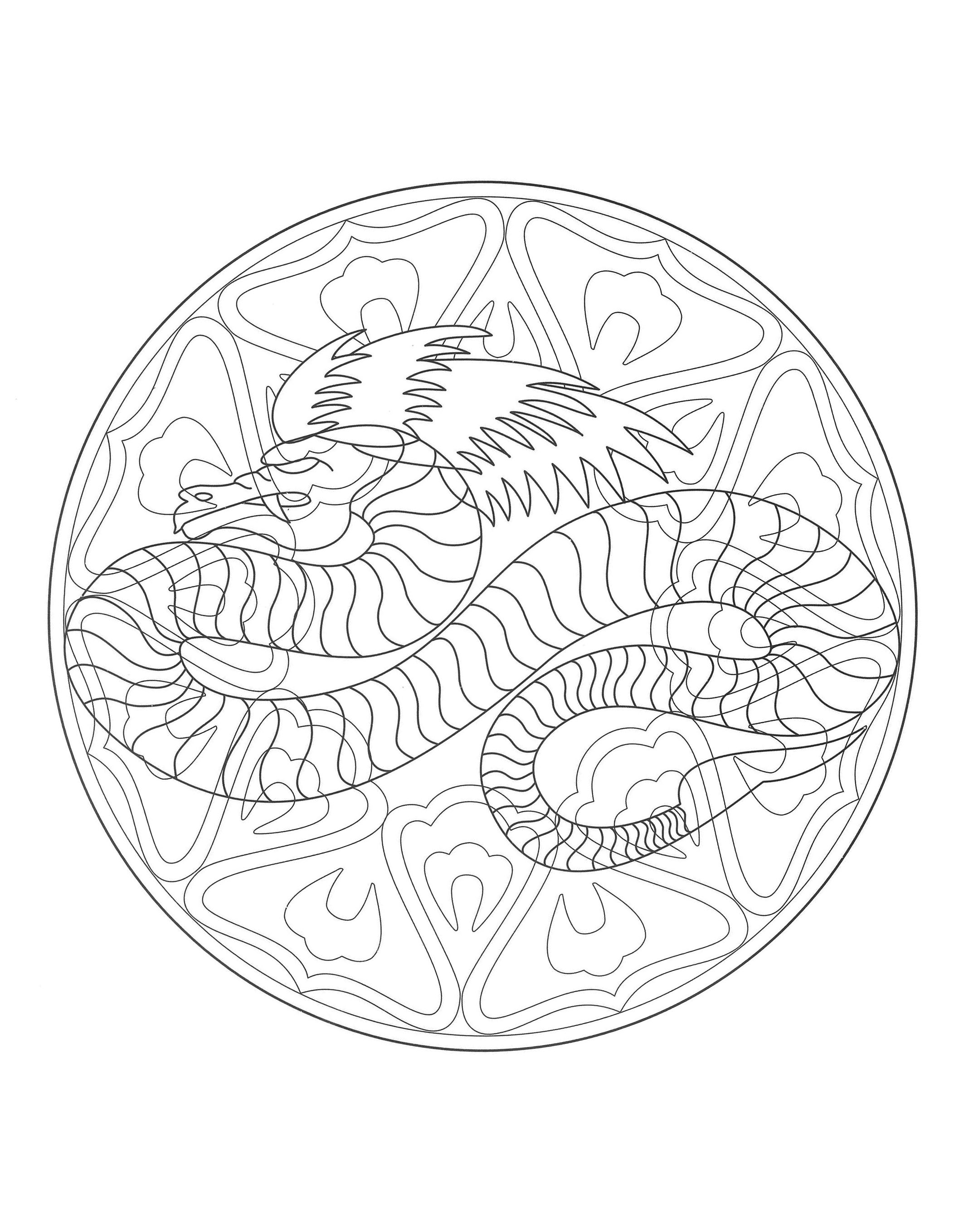Mandala dragon - 4 - Mandalas Adult Coloring Pages