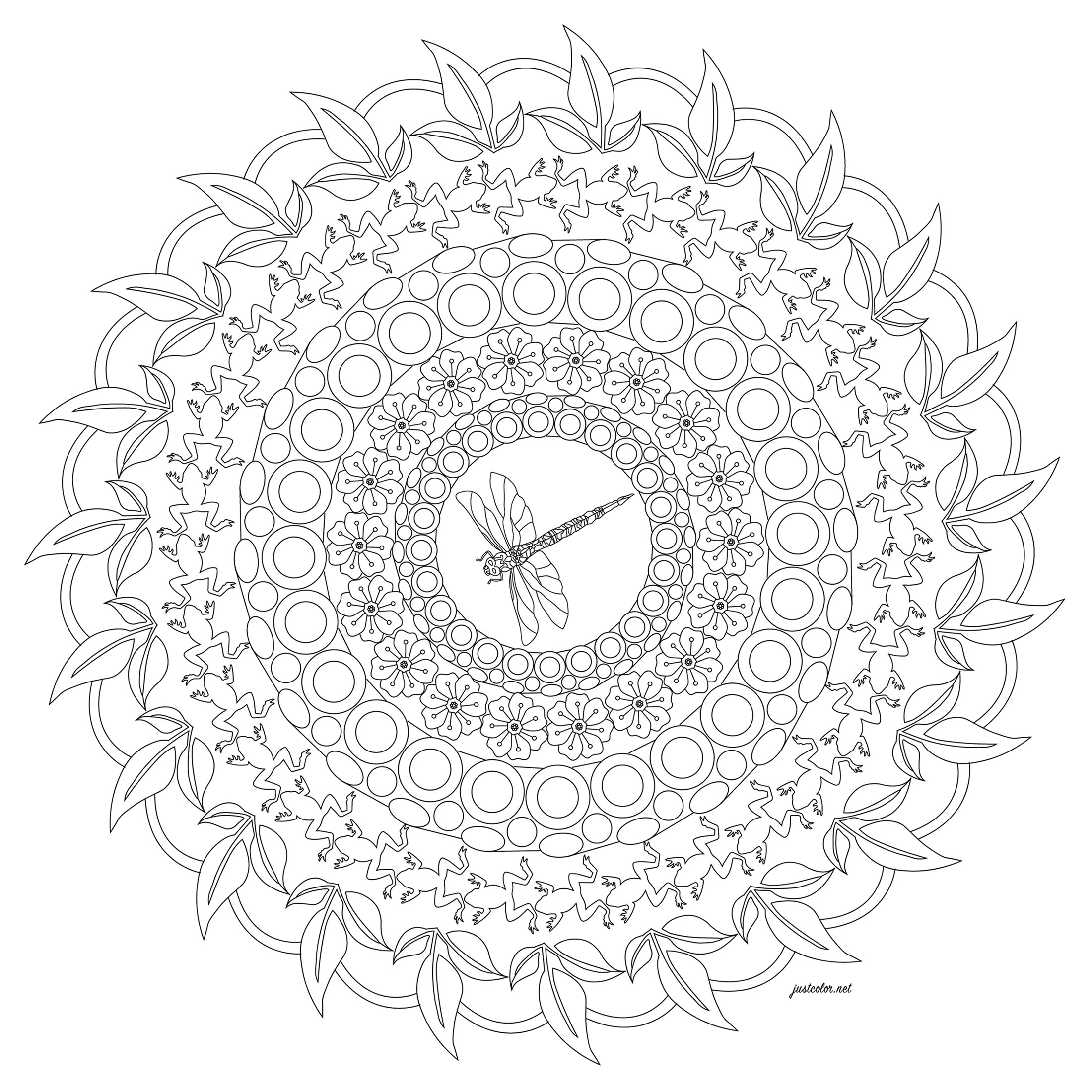 Color this Mandala with a dragonfly in the center. Do you see the frogs ?, Artist : Morgan