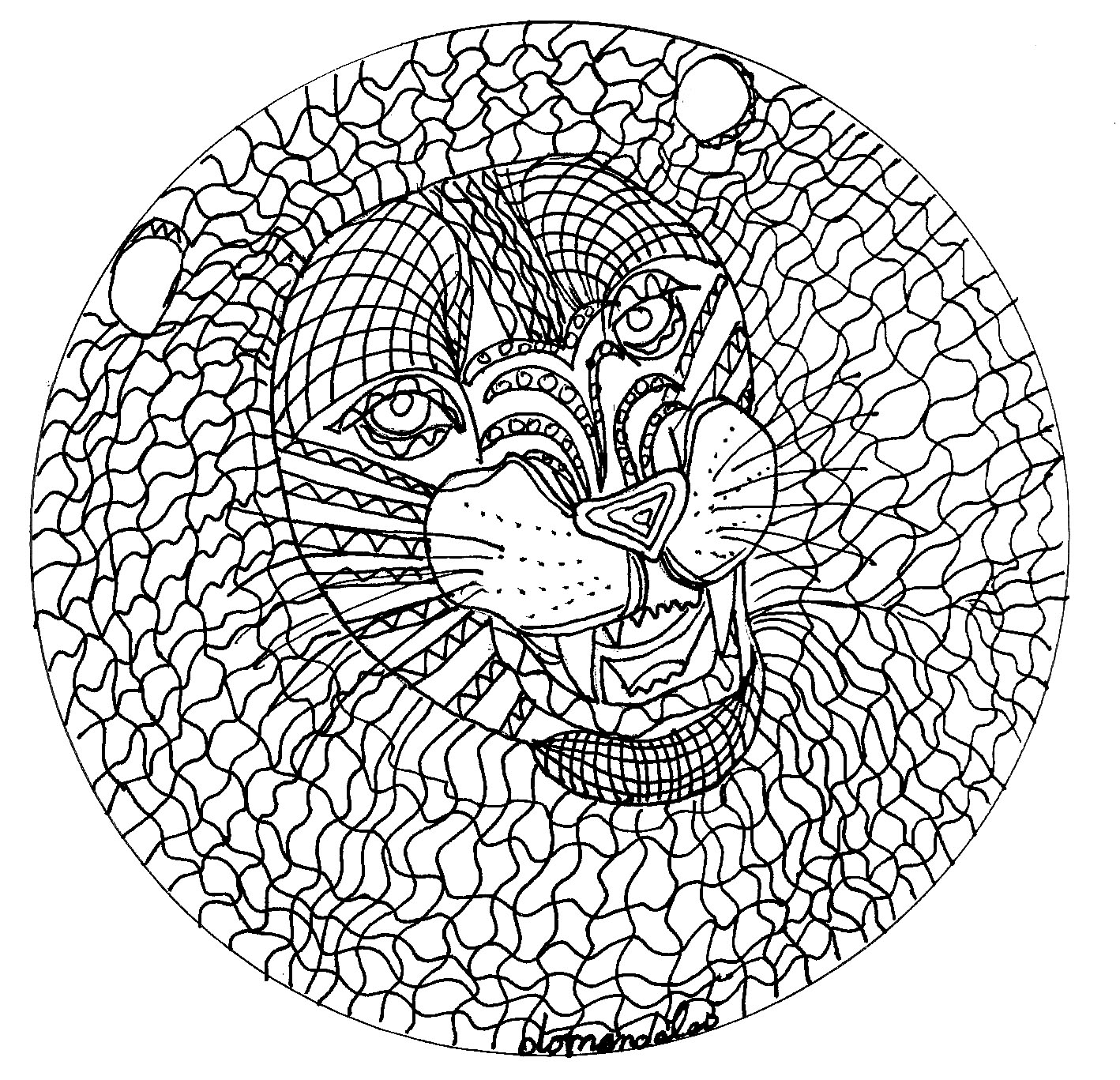 Mandala with lion head, Artist : Domandalas