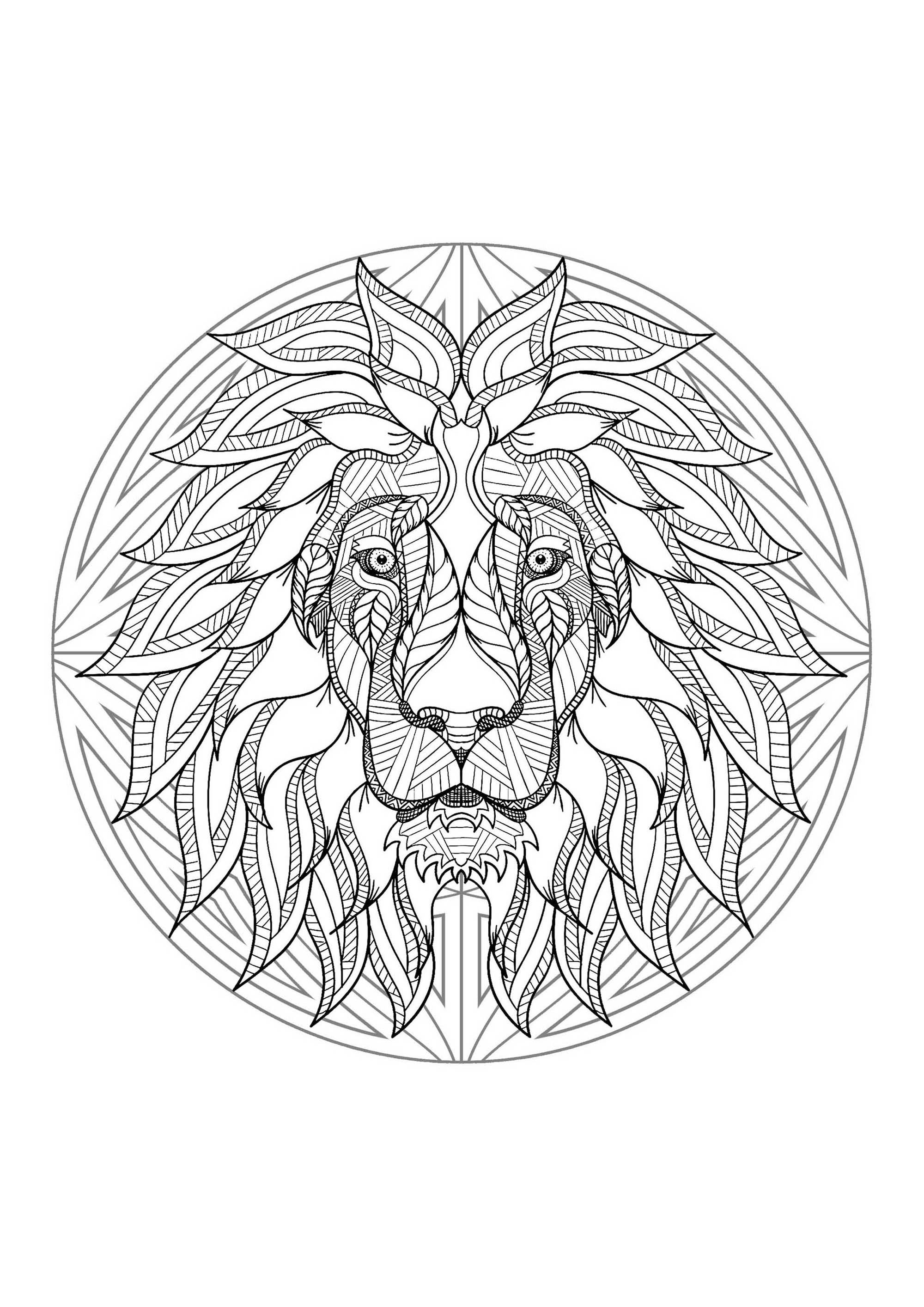 Mandala with beautiful Lion head and geometric patterns - Mandalas