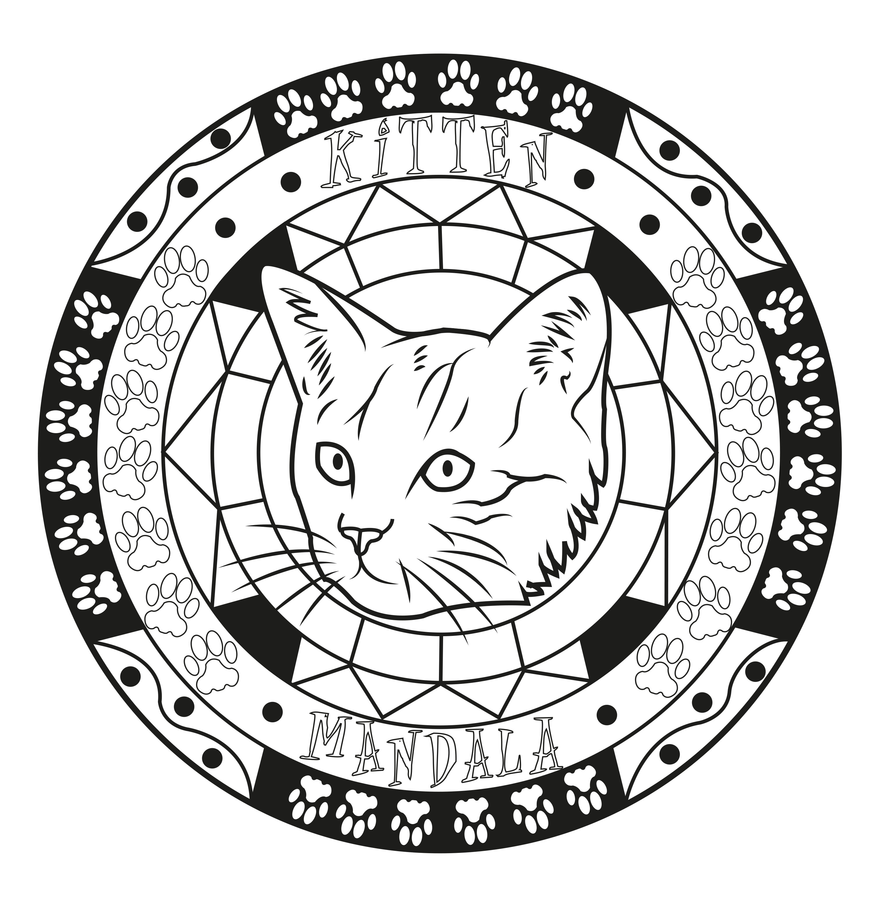 Mandala coloring page on the cat's theme, Artist : Allan