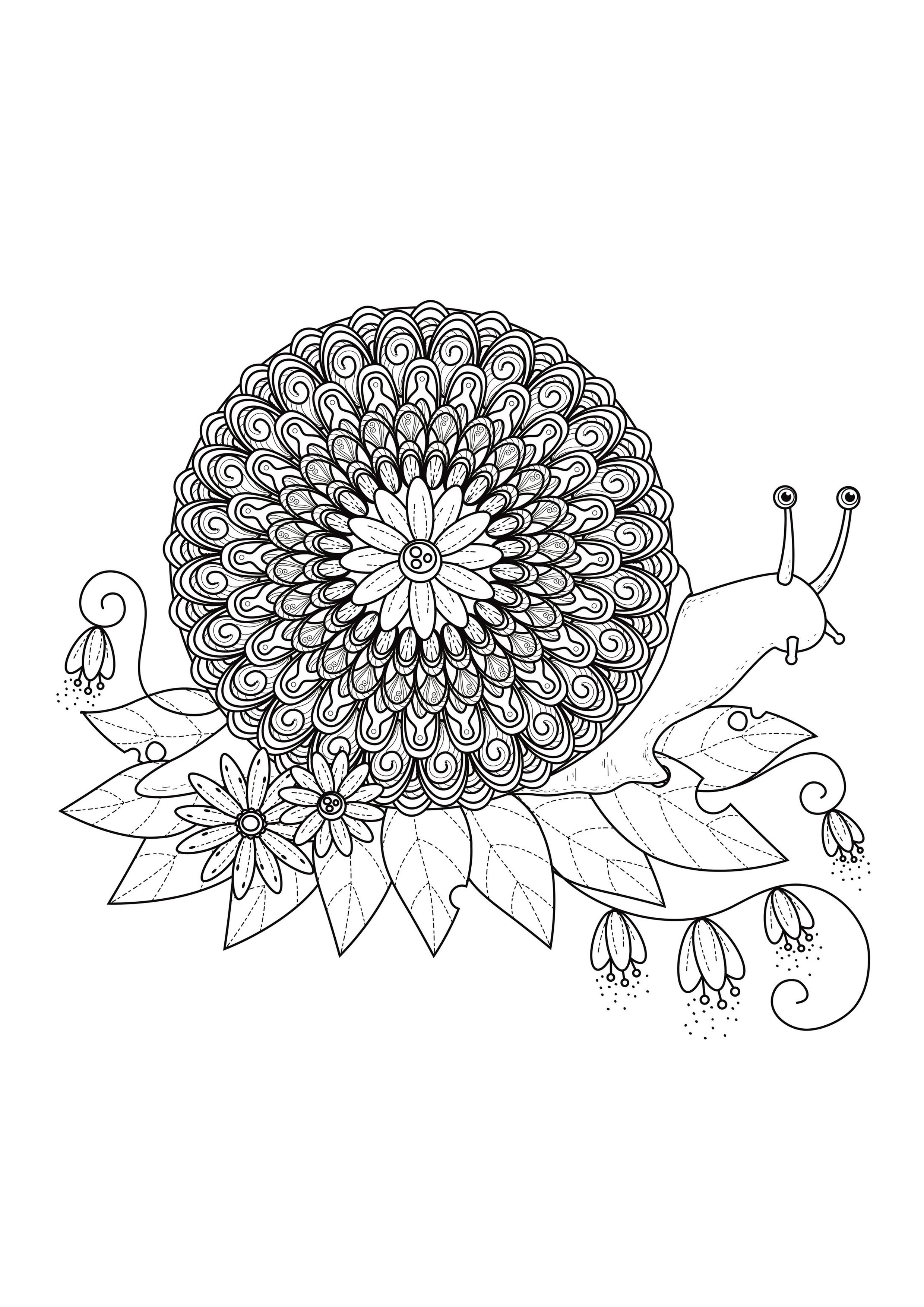 A mix between a snail and a Mandala, Artist : Kchung