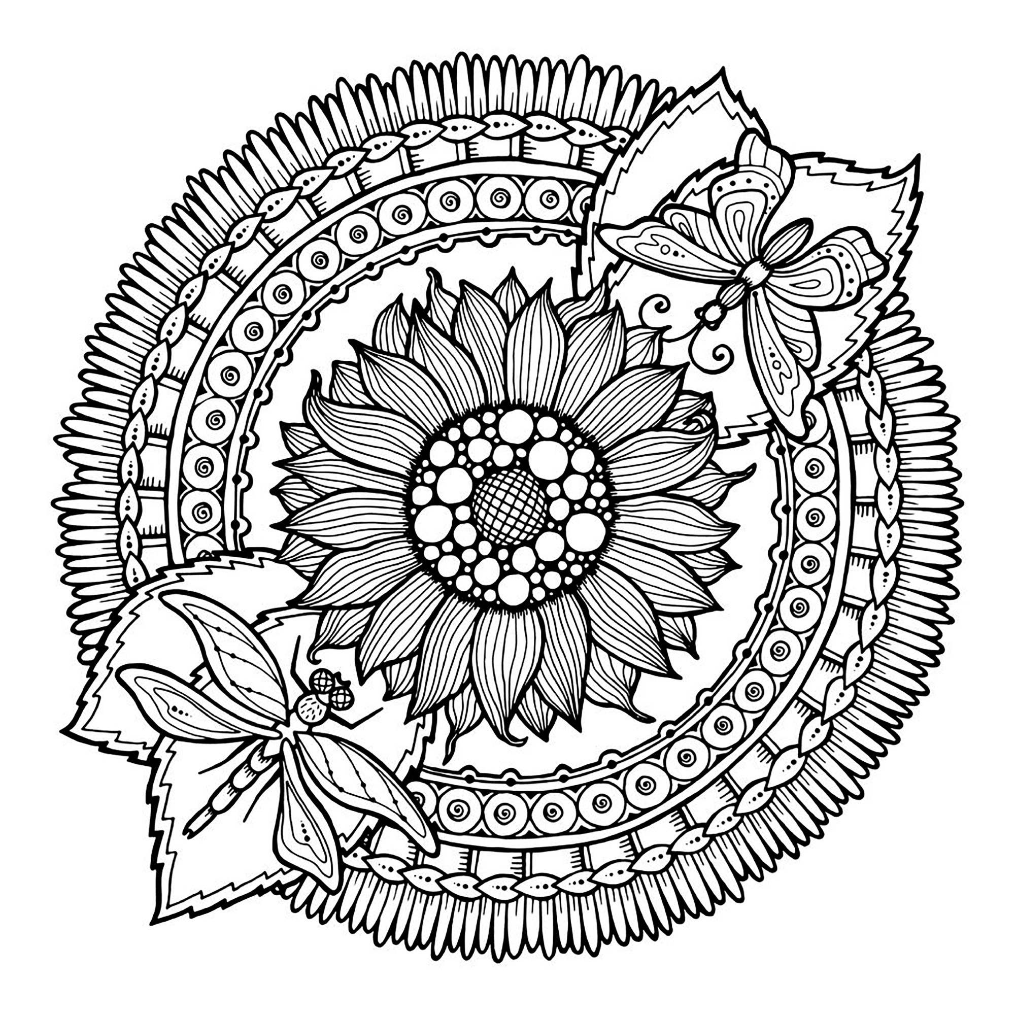 Download Mandala dragonfly and flowers - M&alas Adult Coloring Pages