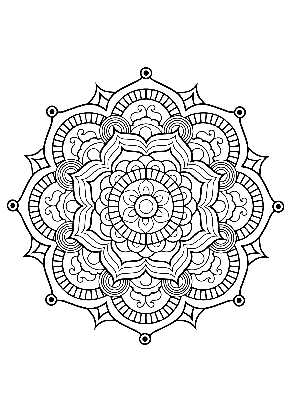 Mandala with vegetal patterns from Free Coloring book for adults