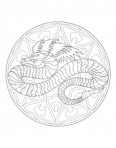 Coloring mandala dragon 4