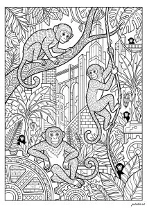 The mechanical jungle of the monkeys