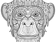 Monkeys Coloring Pages for Adults