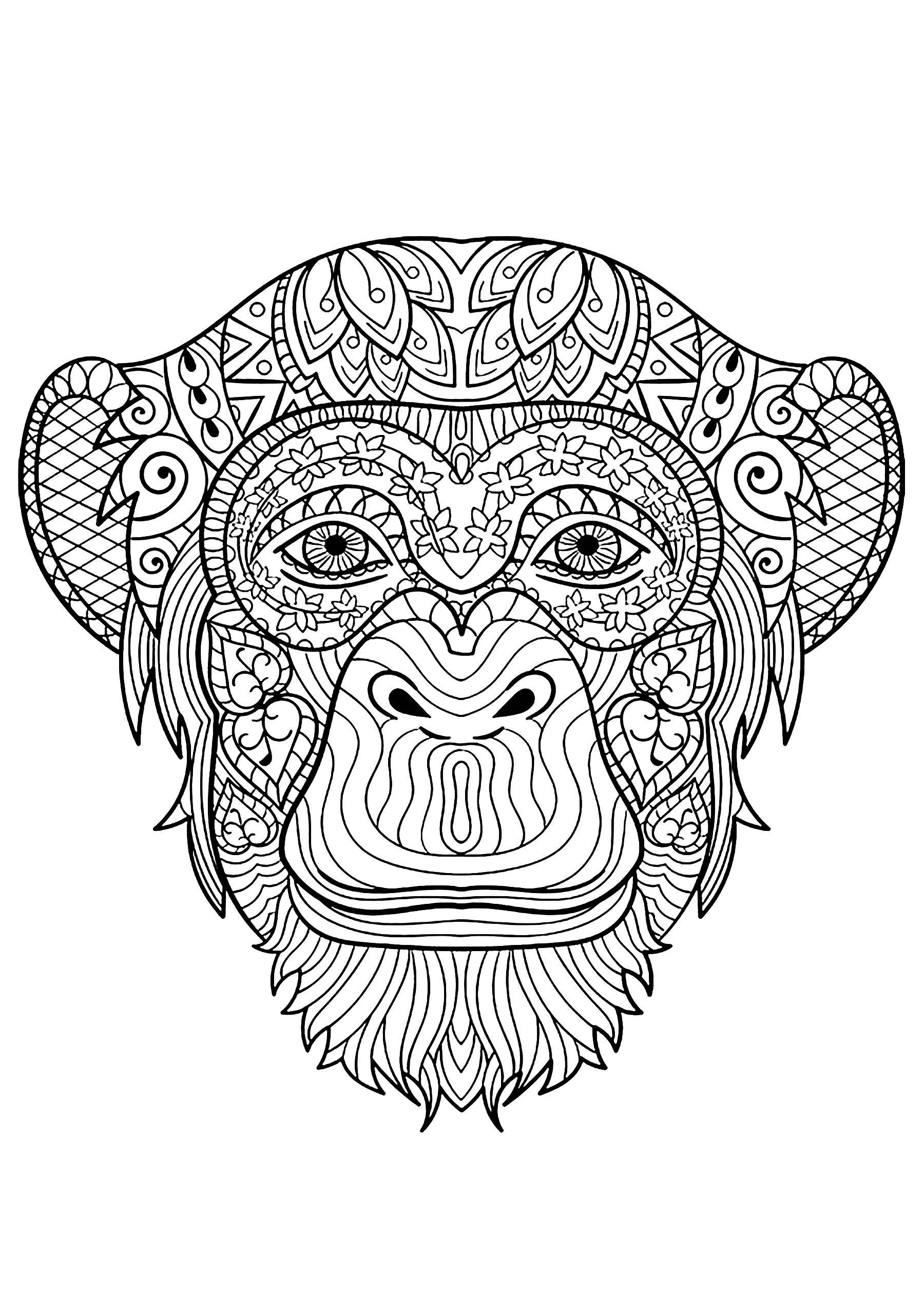 Monkey head - Monkeys Adult Coloring Pages