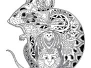 Mouses Coloring Pages for Adults
