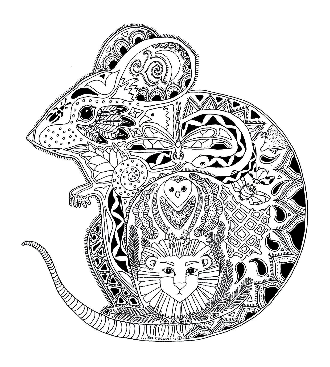 Drawing of a mouse, with interesting details