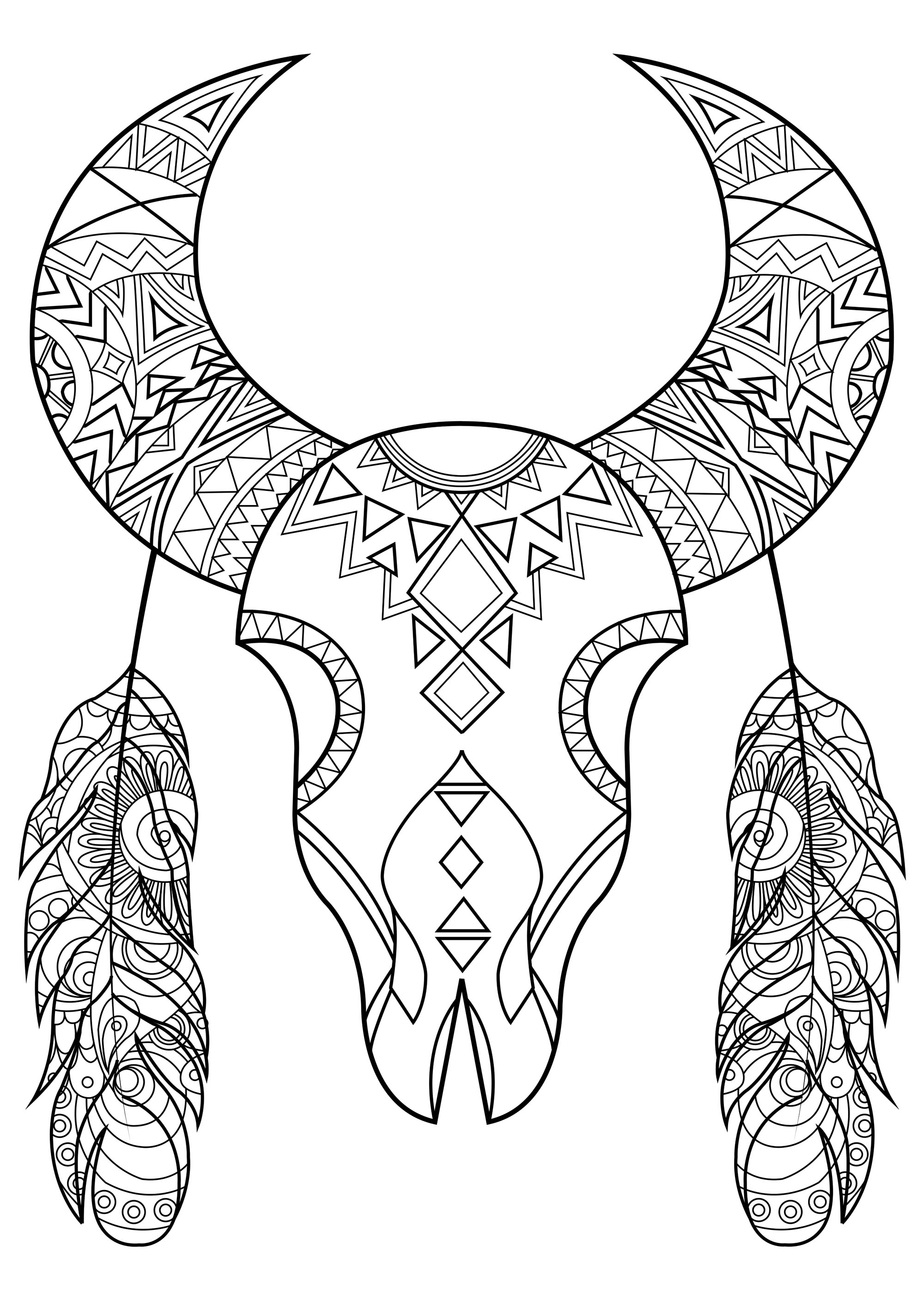 Bull Skull - Native American Adult Coloring Pages