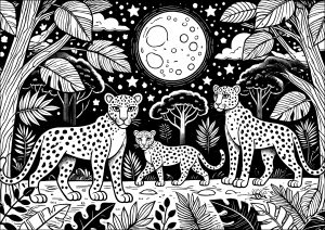 Printable Coloring Page for adults : Panthers under the moon in the starry jungle