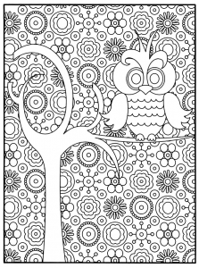 coloring-adult-owl