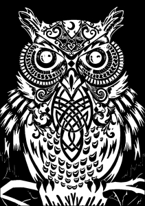 coloring-page-owl-black-background