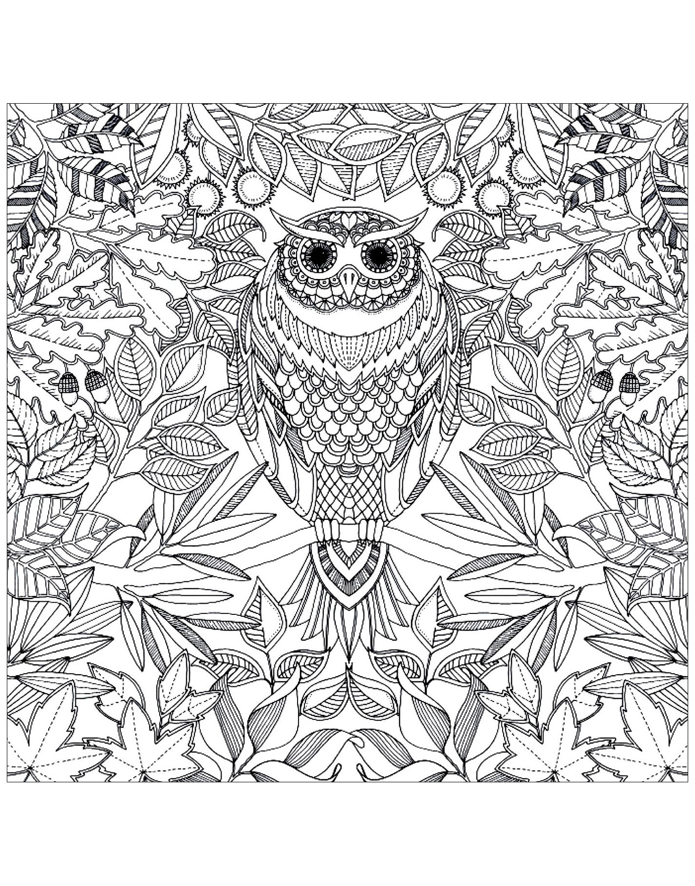 Download Hibou - Owls Adult Coloring Pages