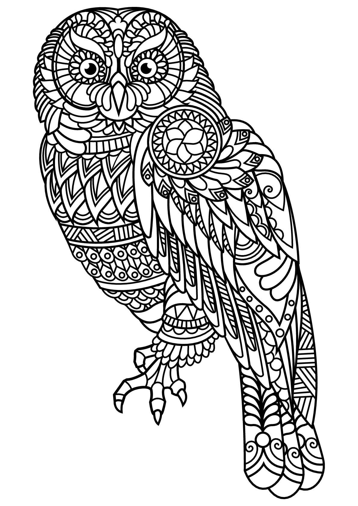 Color this owl and all its patterns. Owls have the ability to rotate their head up to 270 degrees, which is about 3/4 of a complete circle. This gives them the ability to see almost all around them without having to move their body.