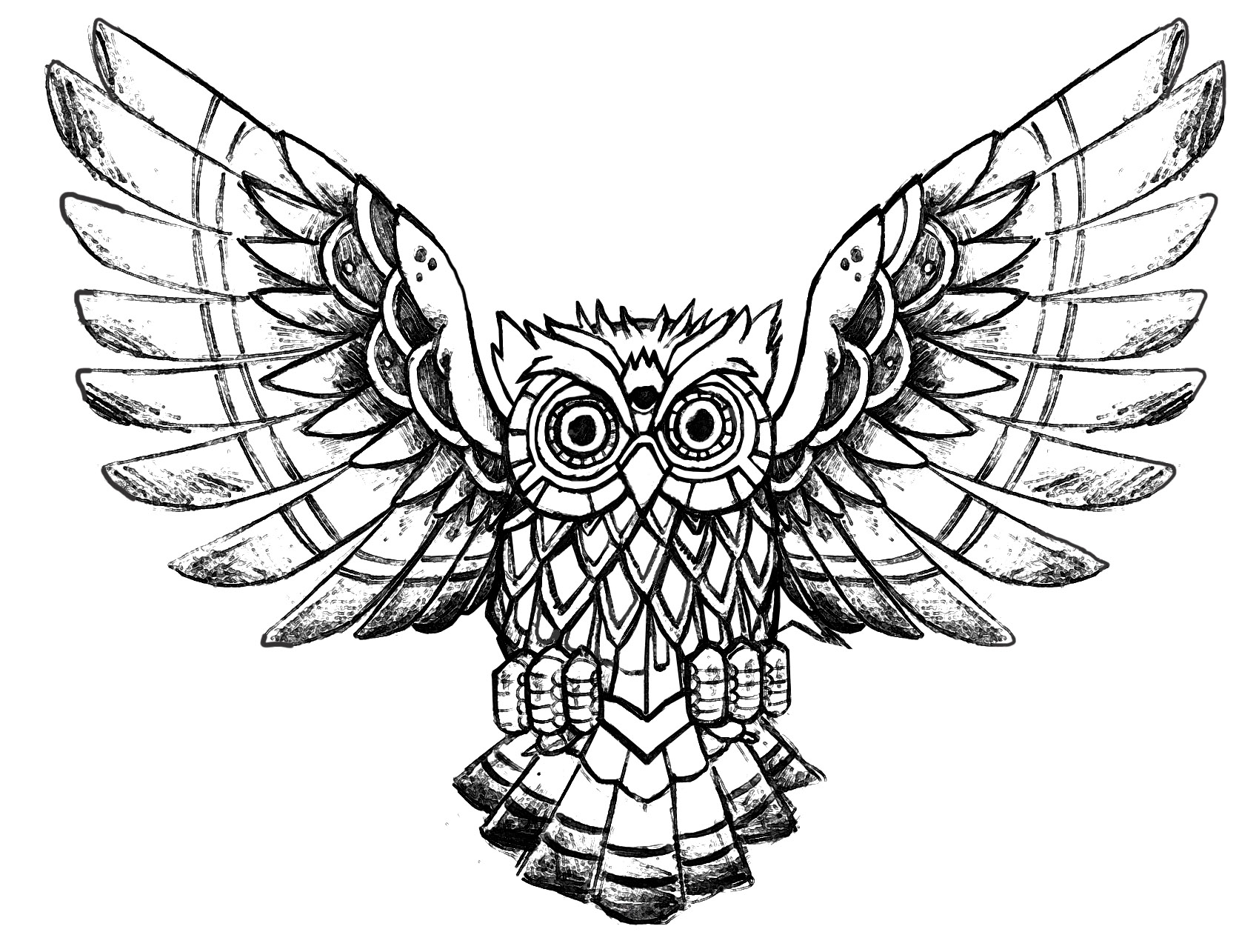 Owl raw drawing - Owls Adult Coloring Pages
