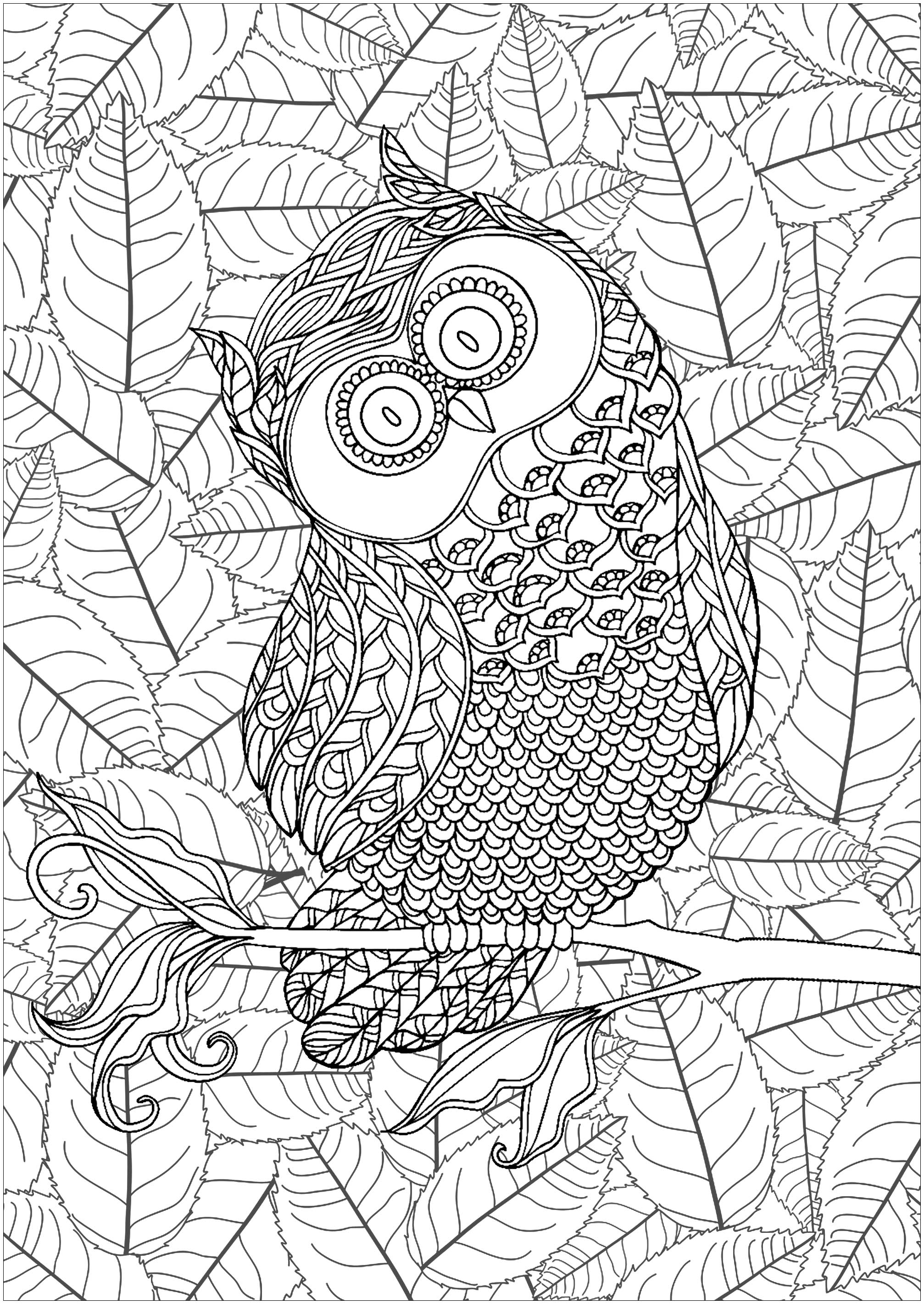 Cute mischievous owl with background full of interleaved leaves, Artist : Art. Isabelle