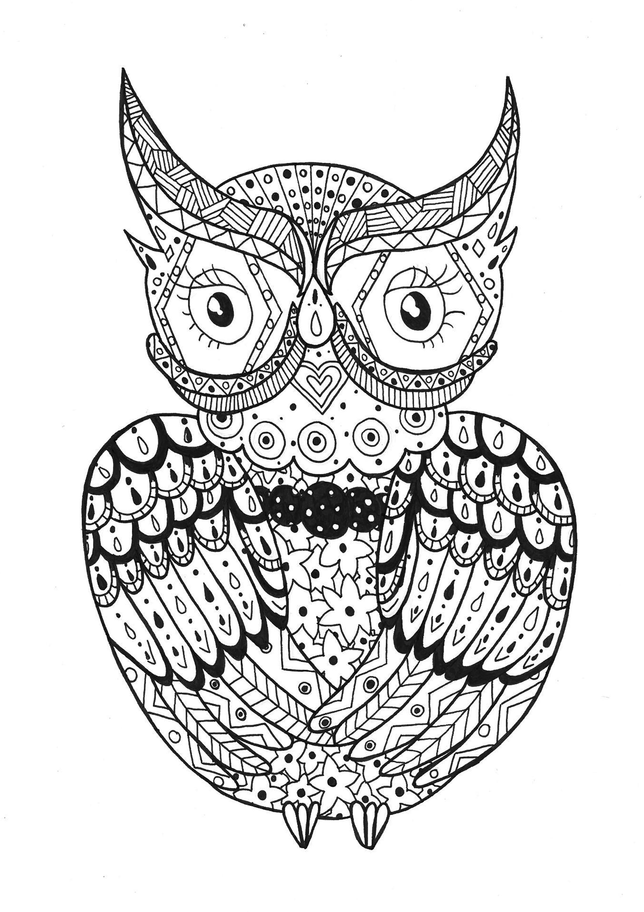 Download Simple owl rachel - Owls Adult Coloring Pages