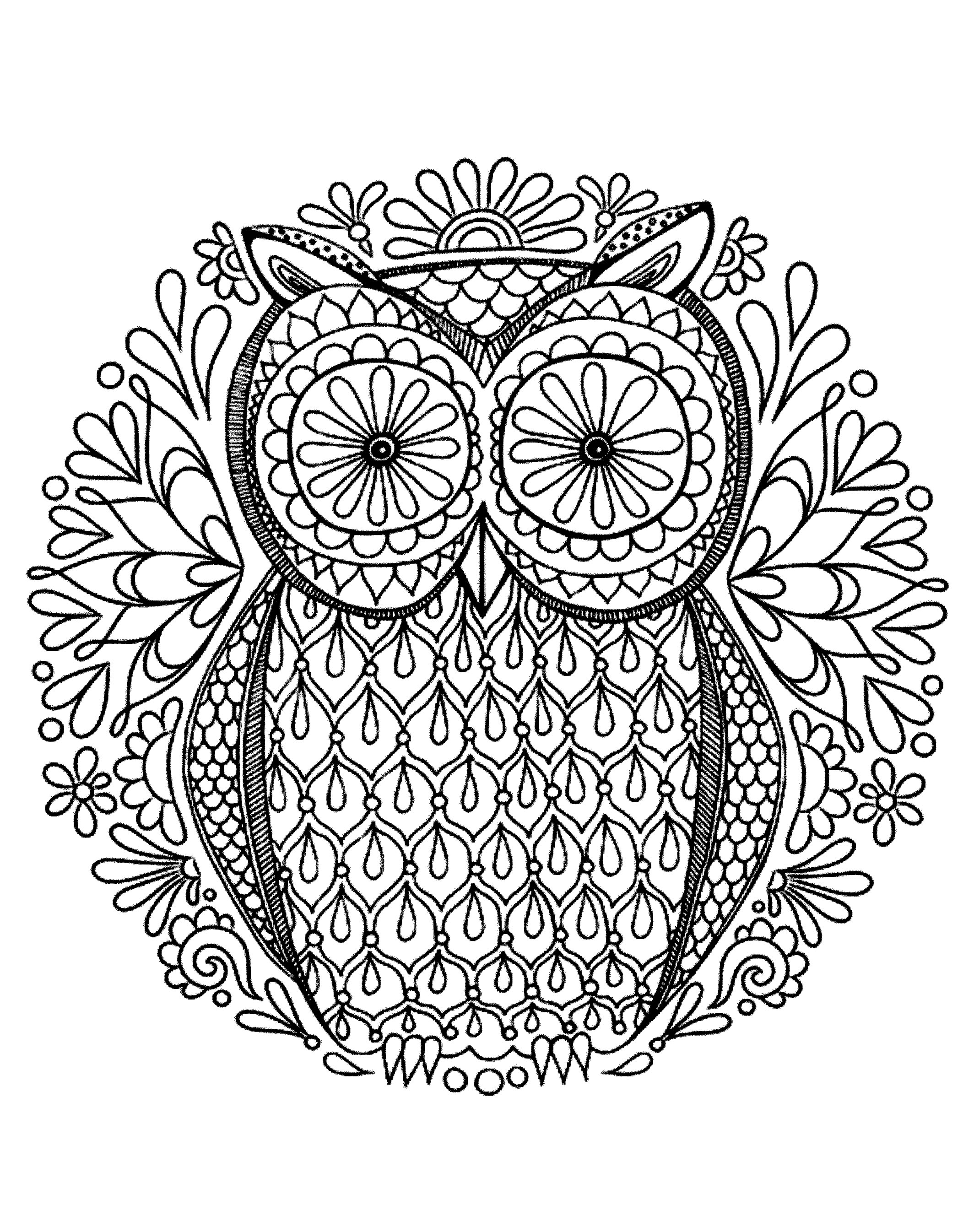 Simple Owl Coloring Pages For Adults - Owl coloring pages are fun for ...