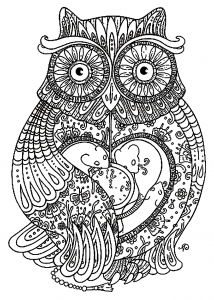 Coloring adult big owl 3