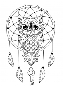 Coloring owl dreamcatcher 1
