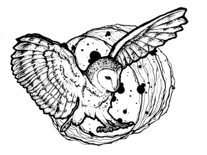 Coloring page owl wings deployed