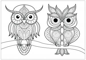 Owls Coloring Pages For Adults