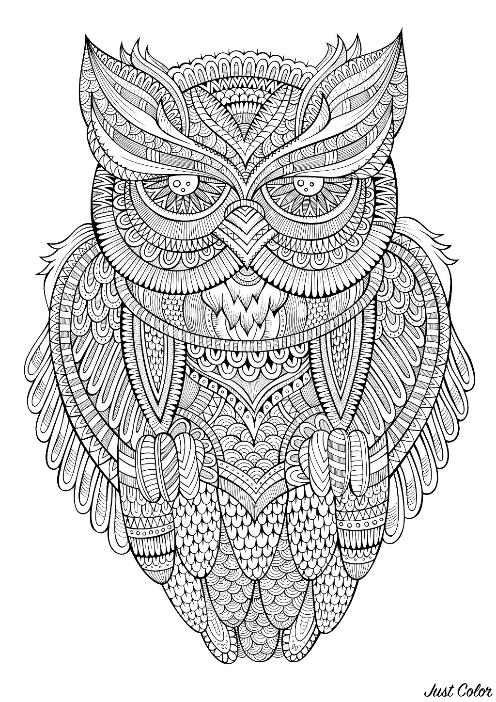 Peaceful Owl - Owls Adult Coloring Pages