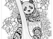 Pandas Coloring Pages for Adults