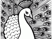 Peacocks Coloring Pages for Adults