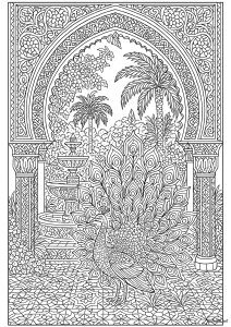 Majestic peacock in a Moorish garden